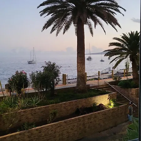 Jardin Del Mar * Tabaiba
